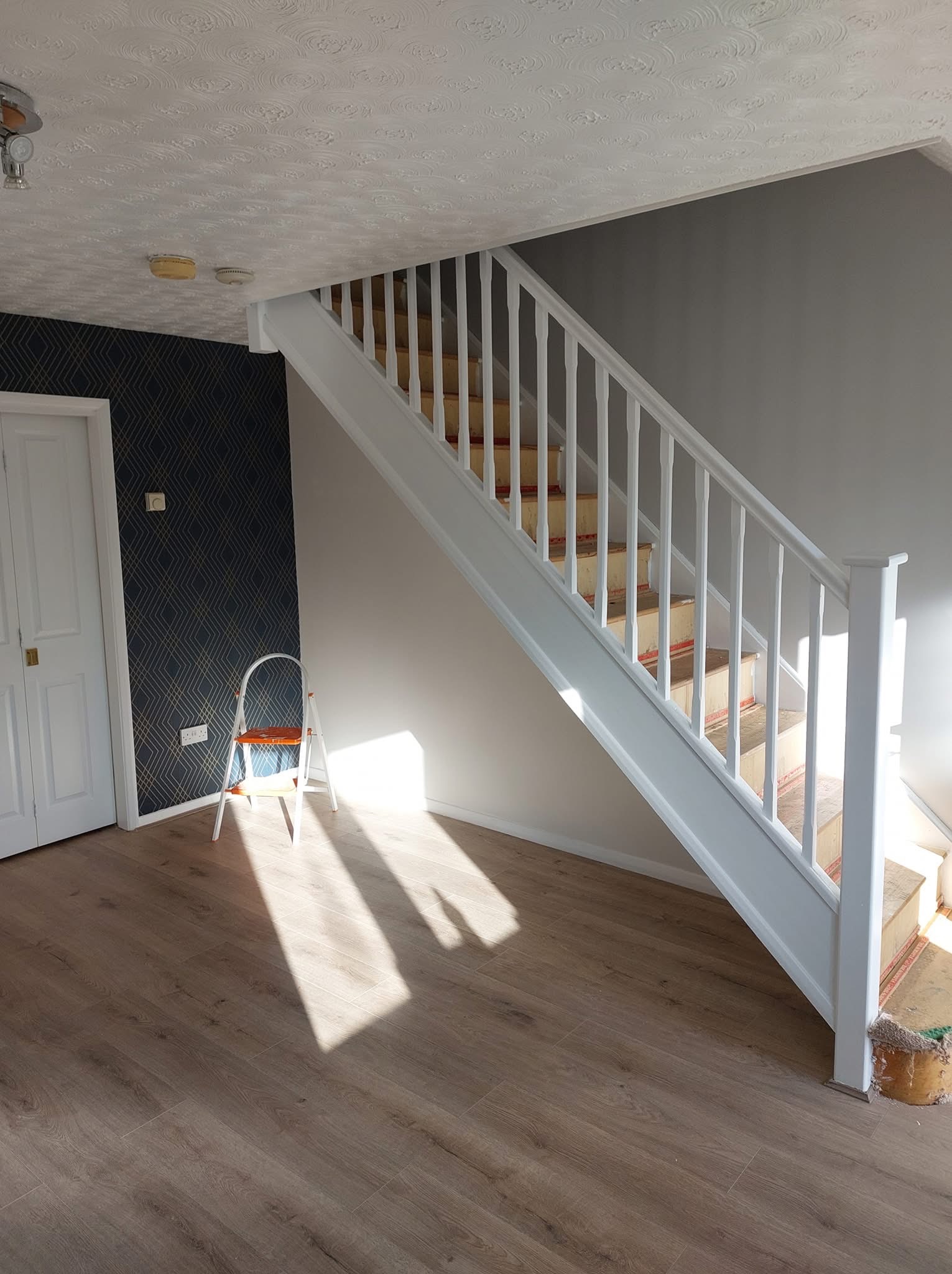 Painting and decorating project - CGS